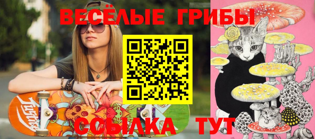 Алатырь  Псилоцибиновые грибы MAGIC MUSHROOMS  где купить наркоту  Галлюциногенные грибы мухоморы  Вход с VPN 