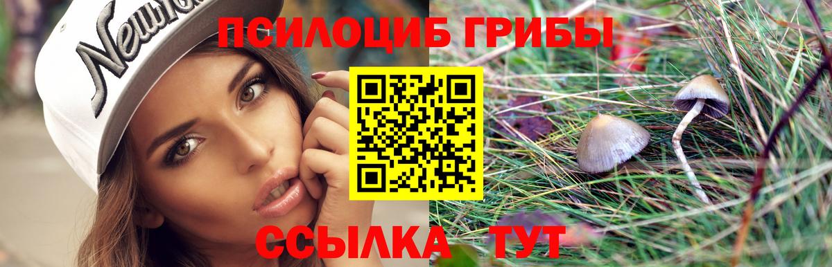 Псилоцибиновые грибы GOLDEN TEACHER Алатырь